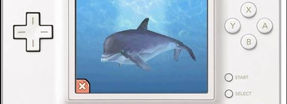 Dolphin Island per Nintendo DS