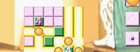 Brain Buster: Puzzle Pack per Nintendo DS