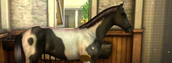 My Horse & Me 2 per Nintendo DS