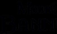 Mount & Blade II: Bannerlord verrà rilasciato su PC e console il 25 ottobre