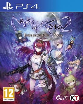 Immagine della copertina del gioco Nights of Azure 2: Bride of the New Moon per PlayStation 4