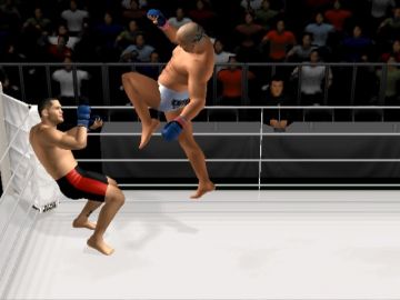 Immagine -2 del gioco Pride FC per PlayStation 2