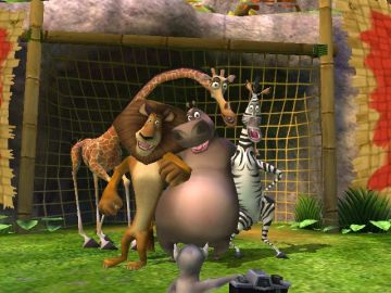 Immagine -11 del gioco Madagascar: Escape 2 Africa per Nintendo Wii