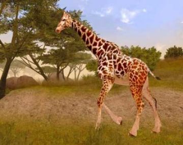 Immagine -1 del gioco Cabela's African Safari per Xbox 360