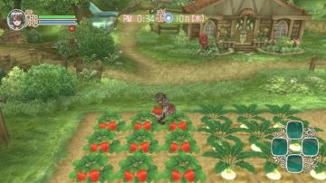 Immagine -2 del gioco Rune Factory: Frontier per Nintendo Wii