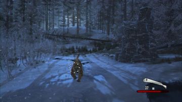Immagine 33 del gioco Cabela's Dangerous Hunts 2011 per PlayStation 3