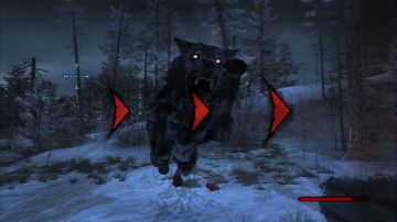 Immagine 34 del gioco Cabela's Dangerous Hunts 2011 per PlayStation 3