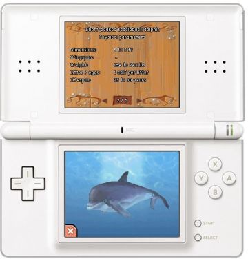Immagine -4 del gioco Dolphin Island per Nintendo DS