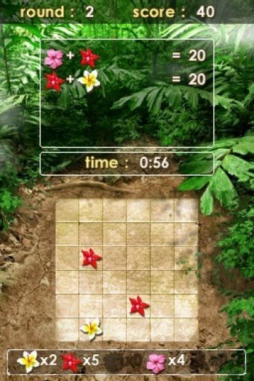 Immagine -5 del gioco Zenses Rainforest per Nintendo DS