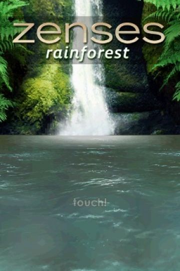 Immagine -2 del gioco Zenses Rainforest per Nintendo DS