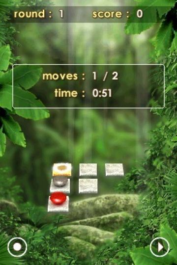 Immagine -1 del gioco Zenses Rainforest per Nintendo DS