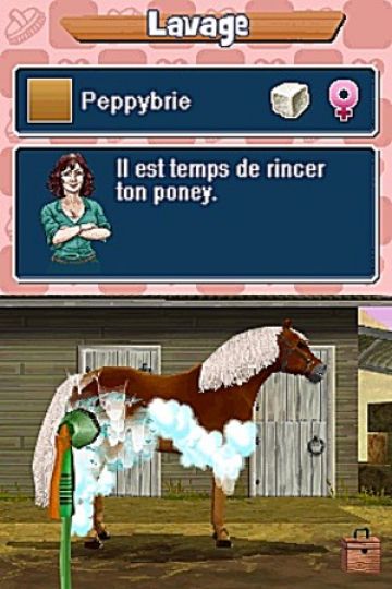 Immagine -13 del gioco Pony Friends per Nintendo DS
