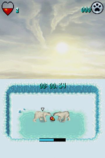 Immagine -5 del gioco Arctic Tale per Nintendo DS