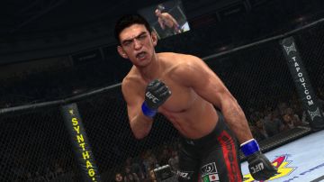Immagine -2 del gioco UFC 2010 Undisputed per PlayStation 3