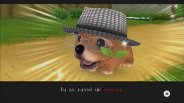 Immagine -12 del gioco The Dog Island per Nintendo Wii