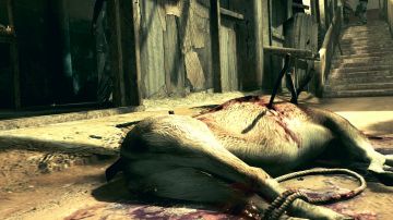Immagine 0 del gioco Resident Evil 5 per PlayStation 4