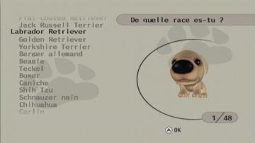 Immagine -15 del gioco The Dog Island per Nintendo Wii