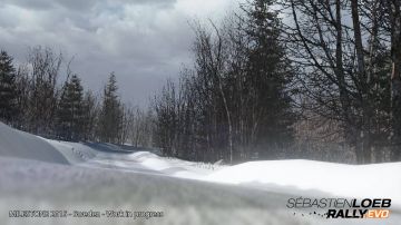 Immagine -6 del gioco Sébastien Loeb Rally Evo per PlayStation 4