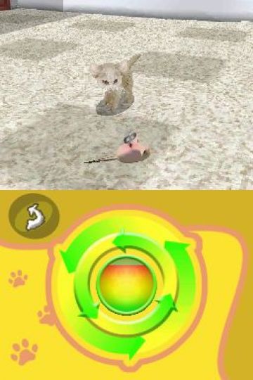 Immagine -2 del gioco Purr Pals per Nintendo DS
