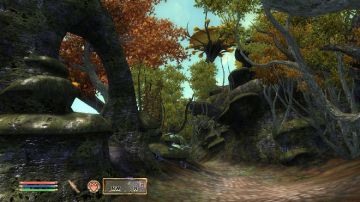 Immagine -4 del gioco The Elder Scrolls IV: Oblivion Game Of The Year Edition per PlayStation 3