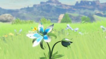 Immagine 7 del gioco The Legend of Zelda: Breath of the Wild per Nintendo Switch
