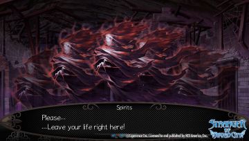 Immagine -3 del gioco Stranger of sword city per PSVITA