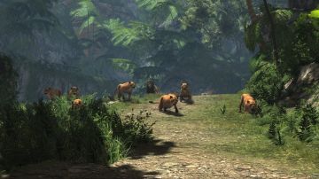 Immagine -12 del gioco Cabela's Dangerous Hunts 2013 per Xbox 360