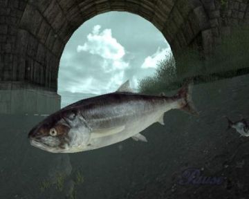 Immagine 0 del gioco Reel Fishing 3 per PlayStation 2