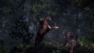 Immagine -1 del gioco The Witcher 3: Wild Hunt per Xbox One