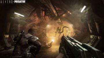 Immagine -4 del gioco Aliens vs Predator per PlayStation 3