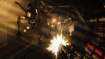Immagine -1 del gioco Aliens vs Predator per PlayStation 3