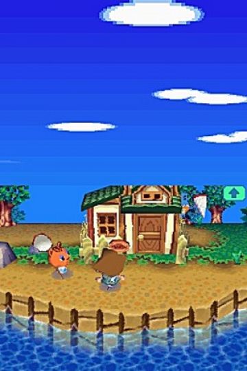 Immagine -9 del gioco Animal Crossing: Wild World per Nintendo DS
