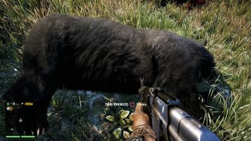 Immagine 62 del gioco Far Cry 4 per PlayStation 4