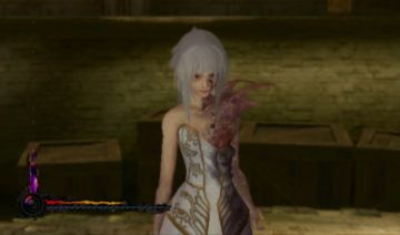 Immagine -1 del gioco Pandora's Tower per Nintendo Wii