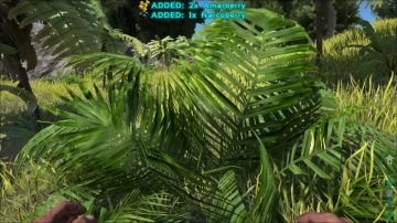 Immagine 3 del gioco ARK: Survival Evolved per Xbox One