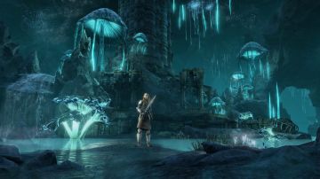 Immagine 1 del gioco The Elder Scrolls Online: Greymoor per PlayStation 4
