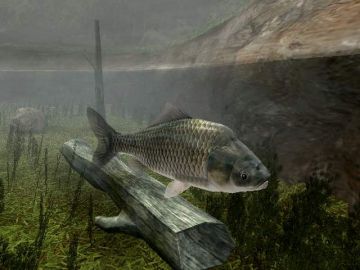 Immagine -4 del gioco Reel Fishing 3 per PlayStation 2