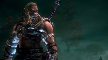 Immagine -3 del gioco Viking: Battle for Asgard per PlayStation 3