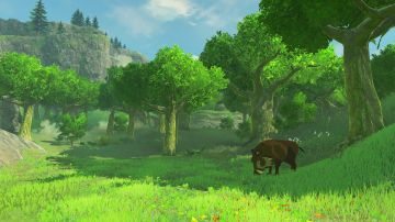 Immagine 41 del gioco The Legend of Zelda: Breath of the Wild per Nintendo Switch