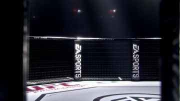 Immagine -1 del gioco EA Sports UFC per PlayStation 4