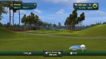 Immagine -1 del gioco Tiger Woods PGA Tour 11 per Nintendo Wii