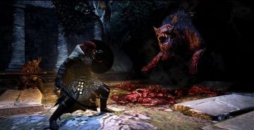 Immagine 14 del gioco Dragon's Dogma: Dark Arisen per PlayStation 3