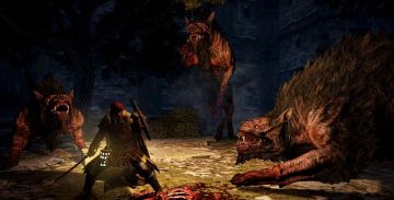 Immagine 18 del gioco Dragon's Dogma: Dark Arisen per PlayStation 3