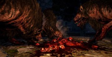 Immagine 20 del gioco Dragon's Dogma: Dark Arisen per PlayStation 3