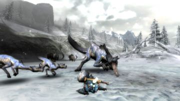 Immagine 25 del gioco Monster Hunter Tri per Nintendo Wii