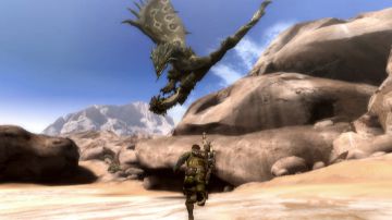 Immagine 27 del gioco Monster Hunter Tri per Nintendo Wii