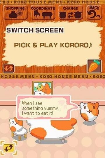Immagine -14 del gioco Animal Kororo per Nintendo DS