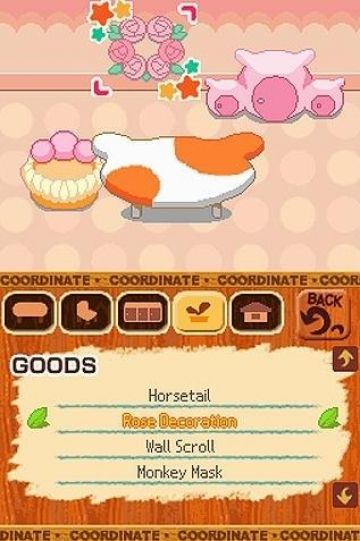 Immagine -13 del gioco Animal Kororo per Nintendo DS