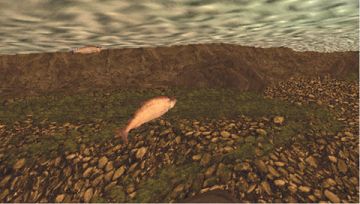 Immagine -4 del gioco Reel Fishing: The Great Outdoors per PlayStation PSP