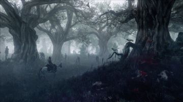 Immagine 71 del gioco The Witcher 3: Wild Hunt per PlayStation 4
